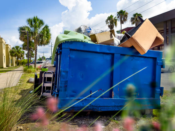 Best Electronics Removal Services  in Richwood, WV